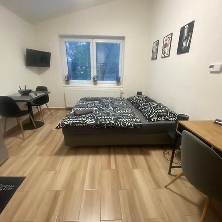 Cerna Ruze - Apartman 7 比尔森 外观 照片