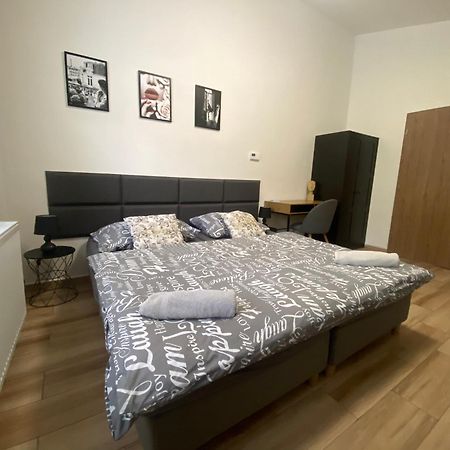 Cerna Ruze - Apartman 7 比尔森 外观 照片