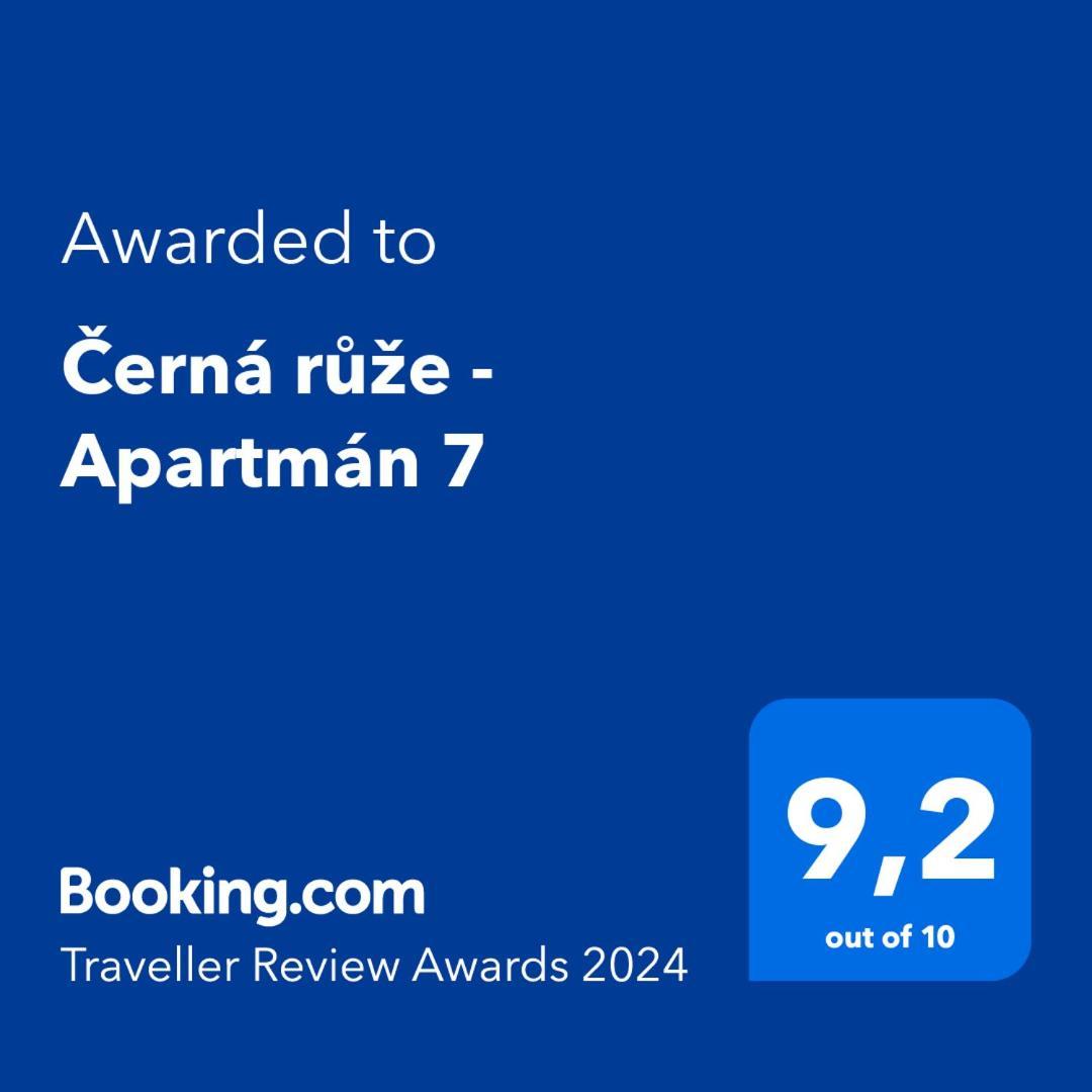 Cerna Ruze - Apartman 7 比尔森 外观 照片